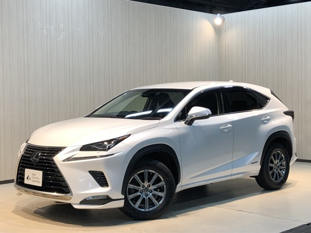 NX300h Iパッケージ 4WD
