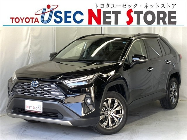 RAV4 2.5 ハイブリッド G E-Four 4WD （6AA-AXAH54）