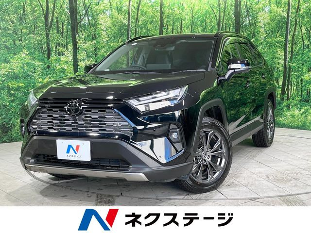 RAV4 2.5 ハイブリッド G E-Four 4WD （6AA-AXAH54）