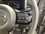 追従式オートクルーズが装備されております。