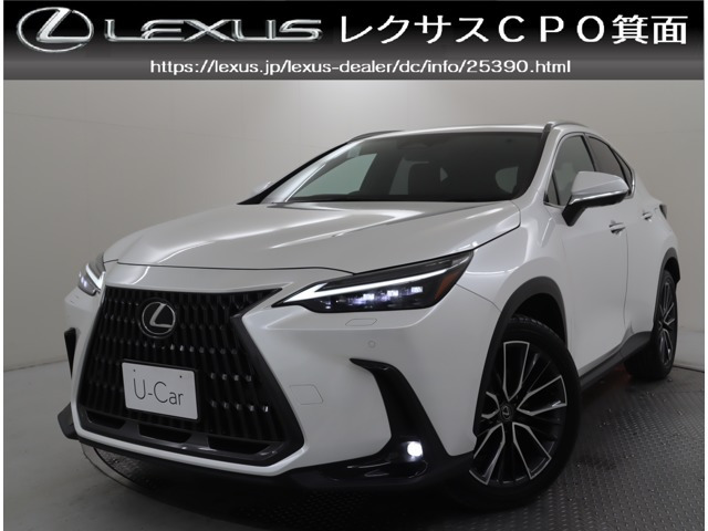 NX 250 バージョンL NX 250 バージョンL（5BA-AAZA20）