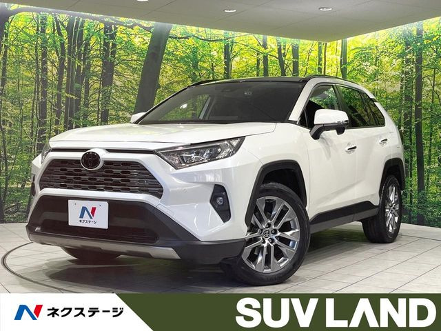RAV4 2.0 G Zパッケージ 4WD 