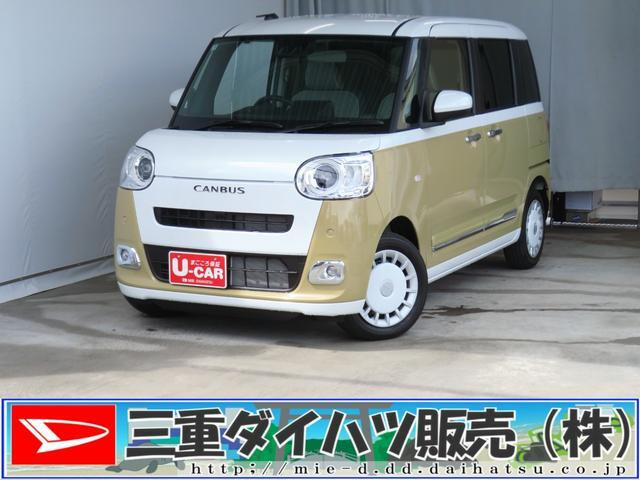 ムーヴキャンバス  ストライプス G