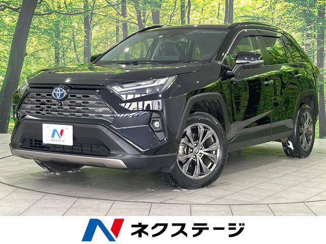 RAV4 2.5 ハイブリッド G E-Four 4WD （6AA-AXAH54）
