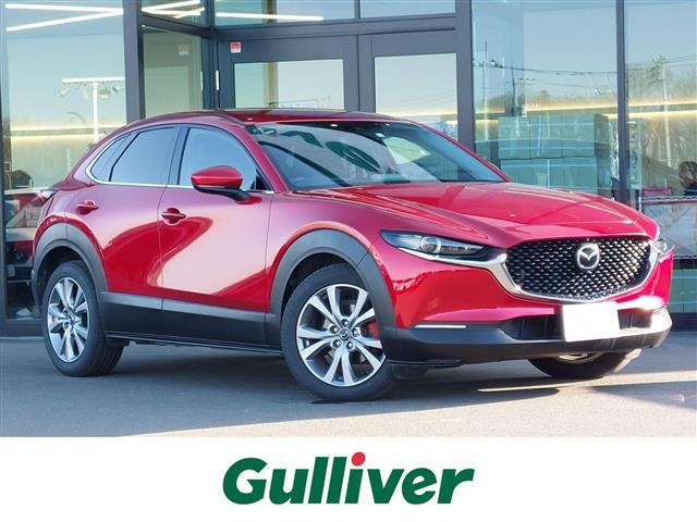 CX-301.8 XD プロアクティブ修復歴無し