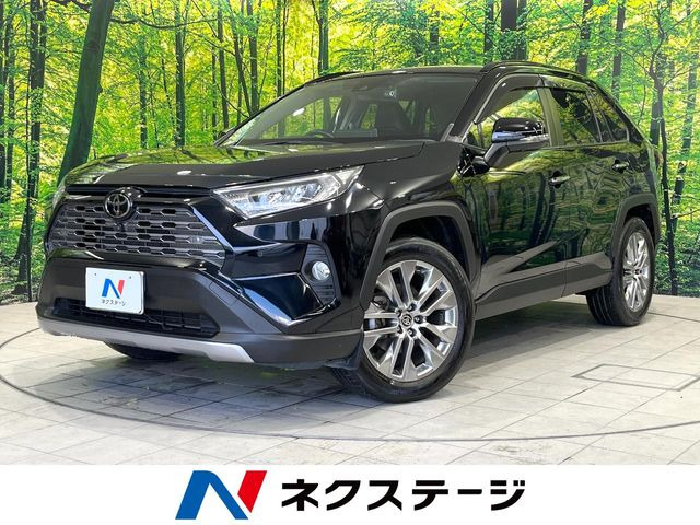 RAV42.0 G Zパッケージ 4WD