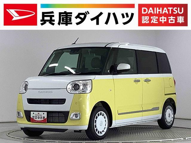 ムーヴキャンバス  ストライプス G