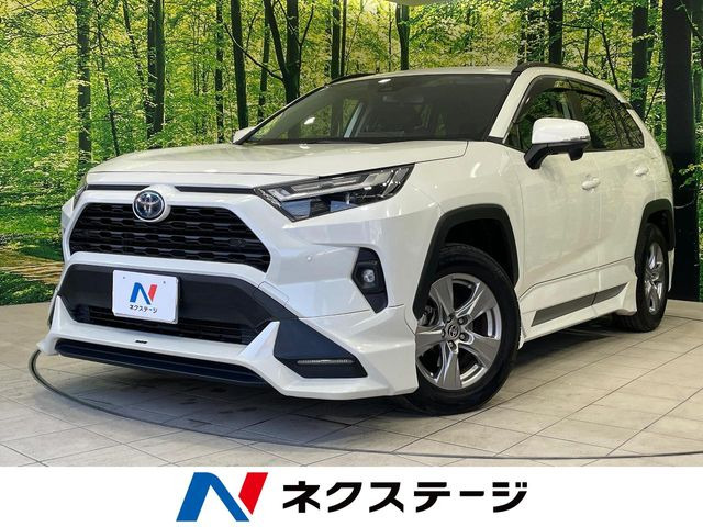 RAV42.5 ハイブリッド X