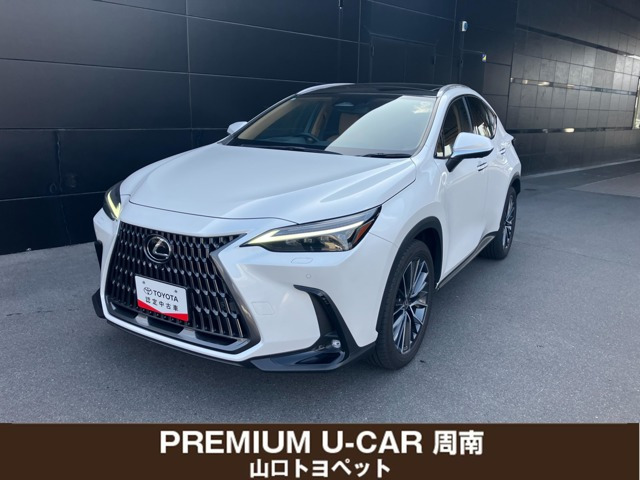 NX 250 バージョンL NX 250 バージョンL（5BA-AAZA20）