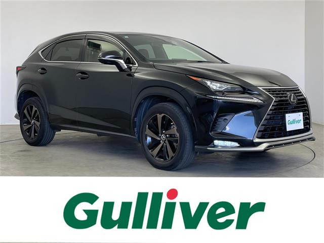 NX300 スパイス&シックサンルーフ 修復歴無し