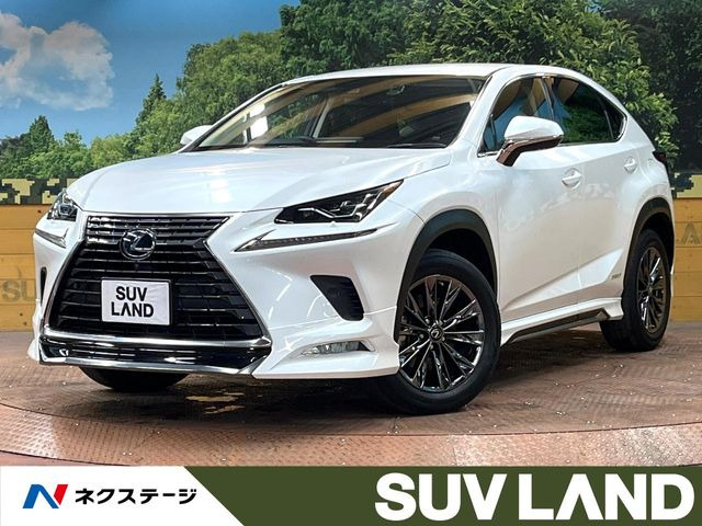 NX300h バージョンL