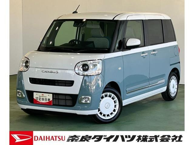 ムーヴキャンバス  ストライプス G