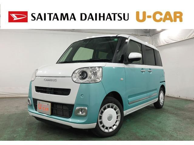 ムーヴキャンバス  ストライプス G