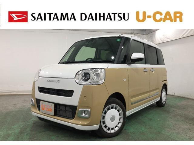 ムーヴキャンバス  ストライプス G