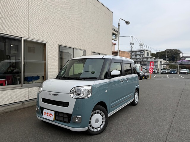 ムーヴキャンバス  ストライプス G