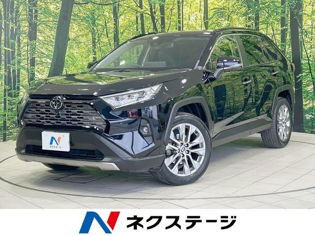 RAV4 2.0 G Zパッケージ 4WD （6BA-MXAA54）