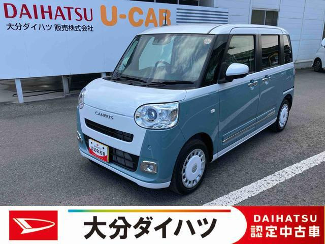 ムーヴキャンバス  ストライプス G