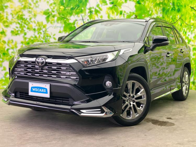 RAV4 2.0 G Zパッケージ 4WD （6BA-MXAA54）
