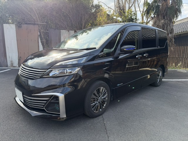 セレナ  ライダー プロパイロットエディション