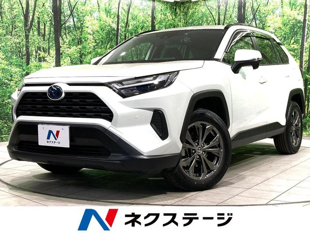 RAV4 2.5 ハイブリッド X （6AA-AXAH52）