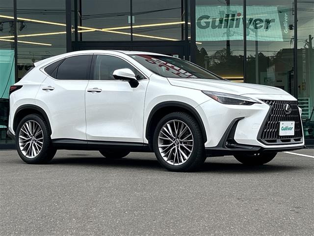 NX 250 バージョンL 本革シート サンルーフ