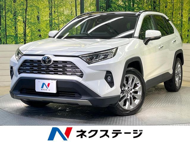 RAV4 2.0 G Zパッケージ 4WD （6BA-MXAA54）