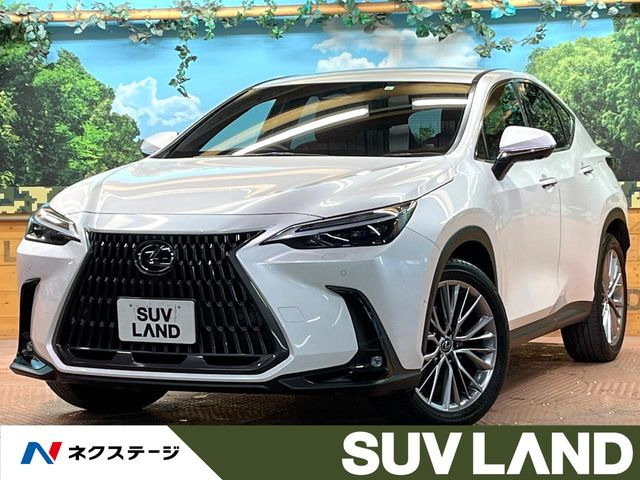 NX 350h バージョンL （6AA-AAZH25）