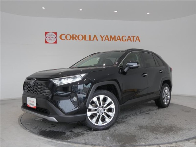 RAV4 2.0 G Zパッケージ 4WD（6BA-MXAA54）