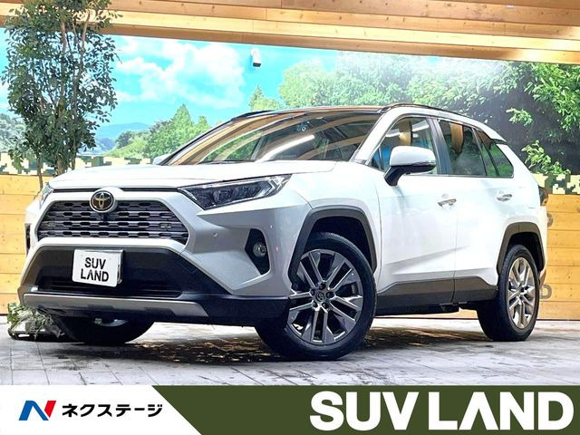 RAV4 2.0 G Zパッケージ 4WD （6BA-MXAA54）