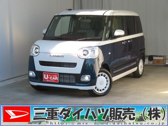 ムーヴキャンバス  ストライプス G