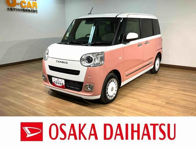 ムーヴキャンバス  ストライプス G