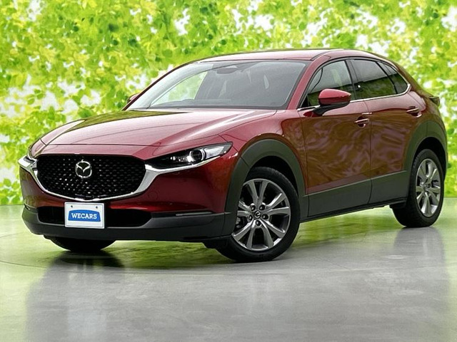 CX-302.0 20S プロアクティブ