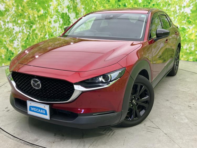 CX-302.0 20S ブラックトーンエディション