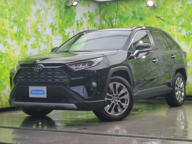 RAV4 2.0 G Zパッケージ 4WD （6BA-MXAA54）