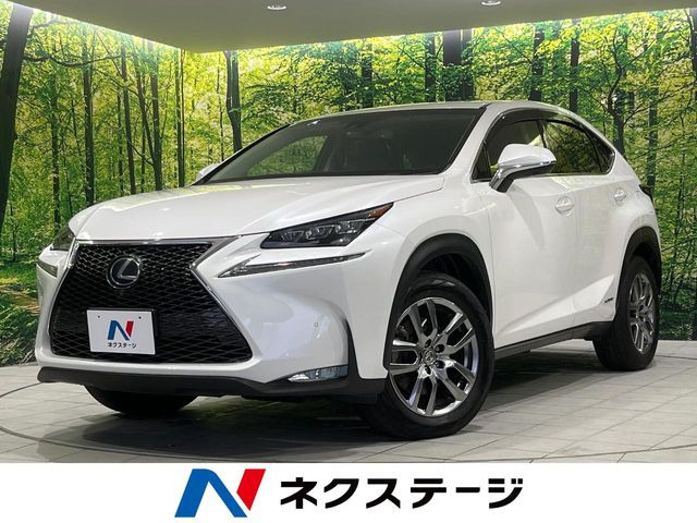 NX300h バージョンL
