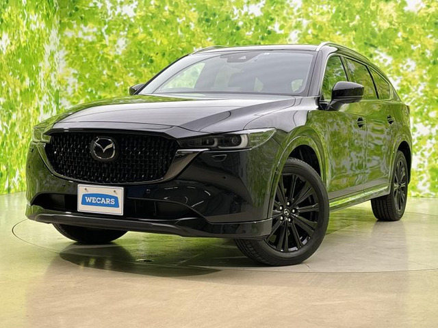 CX-8（マツダ）の中古車 | 中古車情報・中古車検索なら【車選びドット