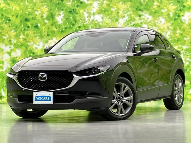 CX-301.8 XD プロアクティブ ツーリングセレクション