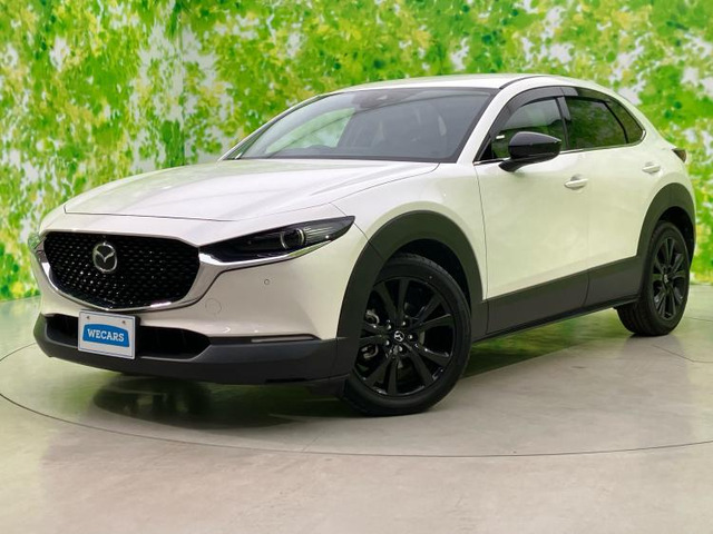 CX-302.0 20S ブラックトーンエディション