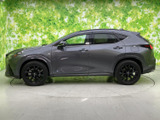NX 350h Fスポーツ 