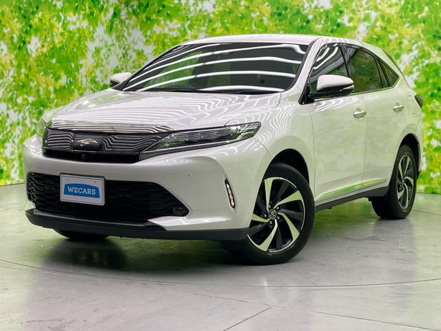 ハリアー2.0 プログレス メタル アンド レザーパッケージ