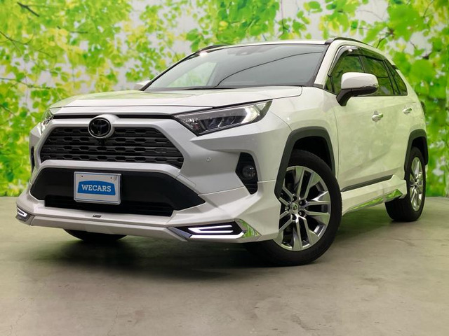 RAV4 2.0 G Zパッケージ 4WD 