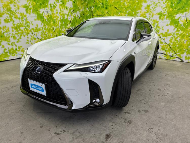 UX250h Fスポーツ