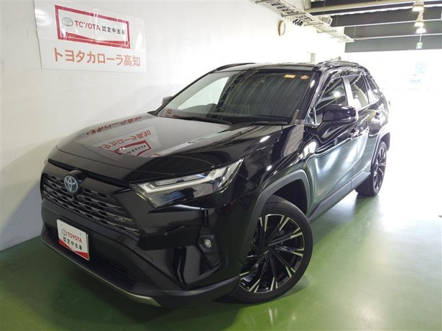 RAV4 2.5 ハイブリッド G E-Four 4WD （6AA-AXAH54）