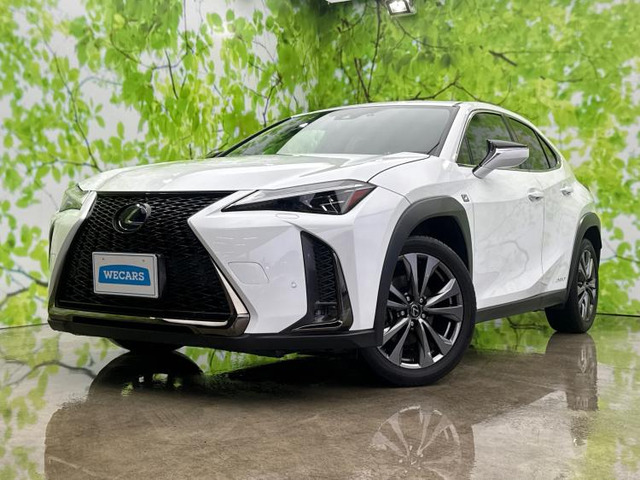 UX250h Fスポーツ