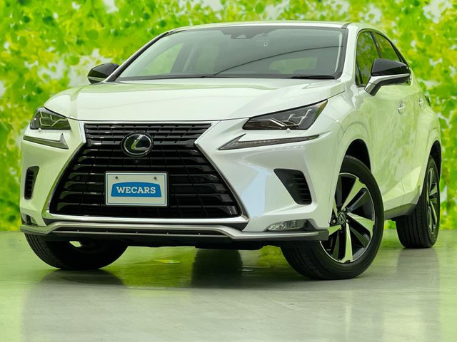 NX300h スパイス&シック