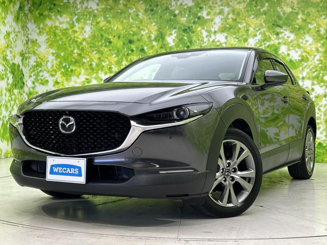 CX-301.8 XD Lパッケージ 4WD