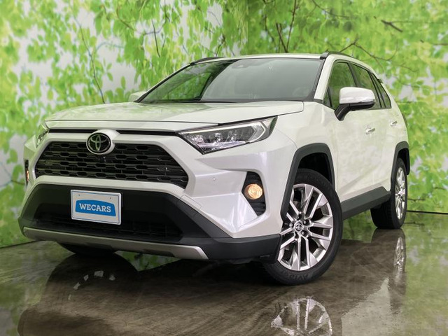 RAV4 2.0 G Zパッケージ 4WD 