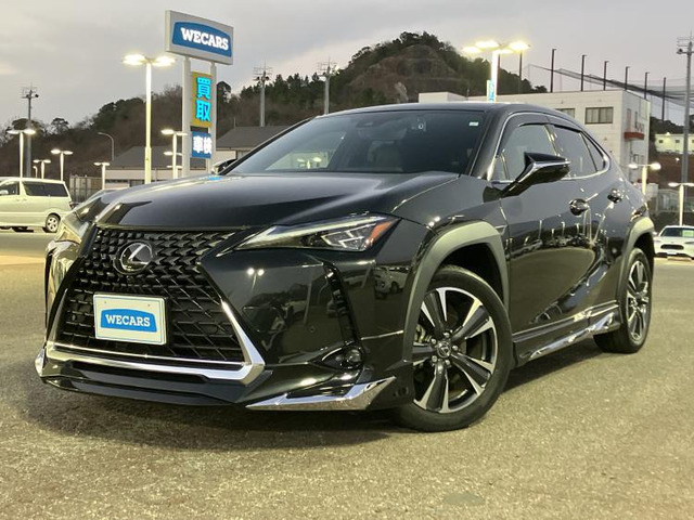 UX250h バージョンL