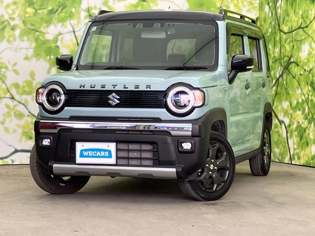 ハスラータフワイルド