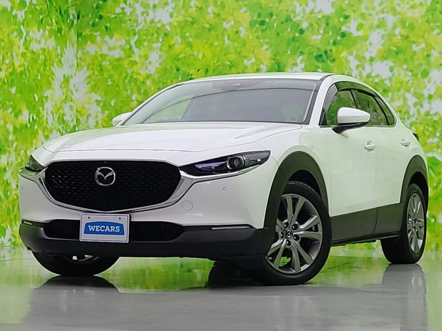 CX-301.8 XD Lパッケージ